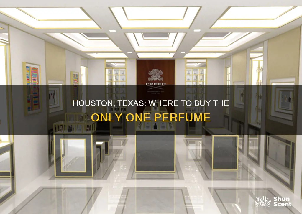 where to buy the only one perfume houston tx