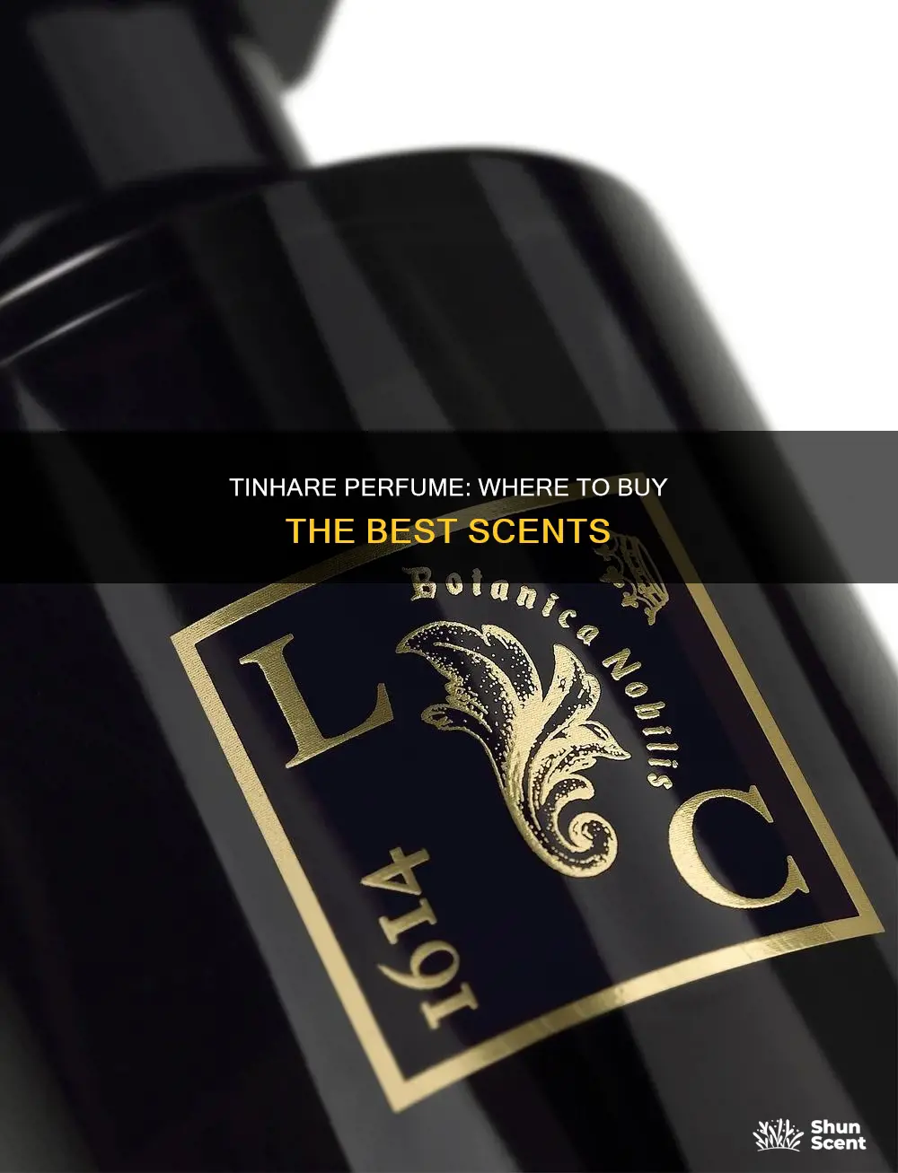 where to buy tinhare perfume