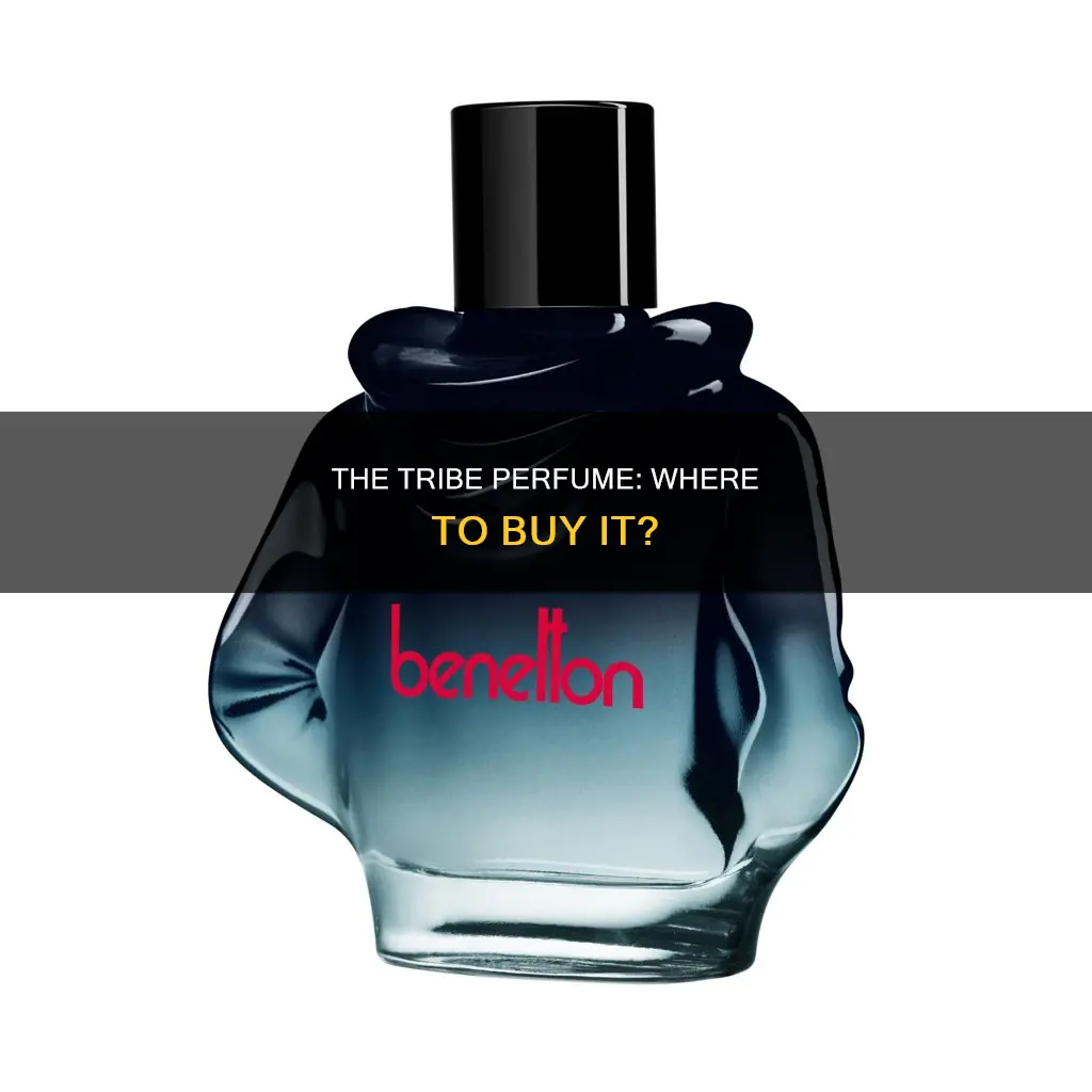 where to buy tribe perfume