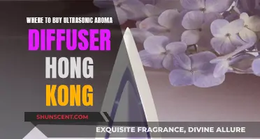 Hong Kong's Best Ultrasonic Aroma Diffuser Retailers