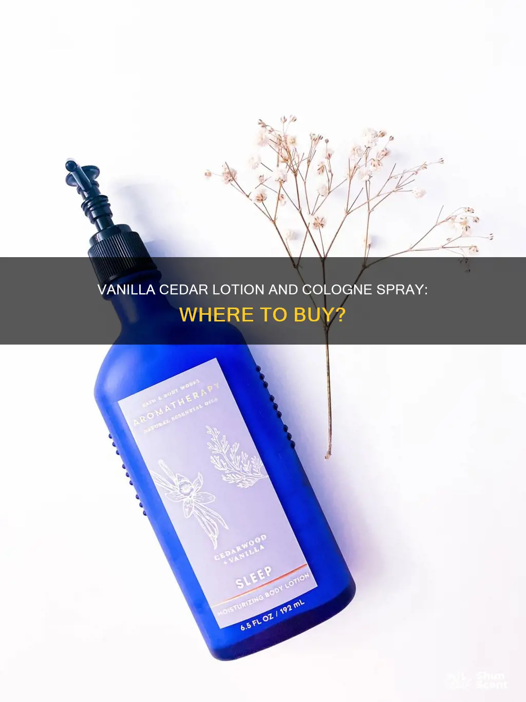 where to buy vanilla cedar lotion and cologne spray