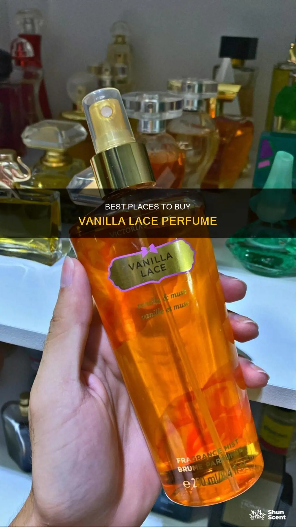 where to buy vanilla lace perfume