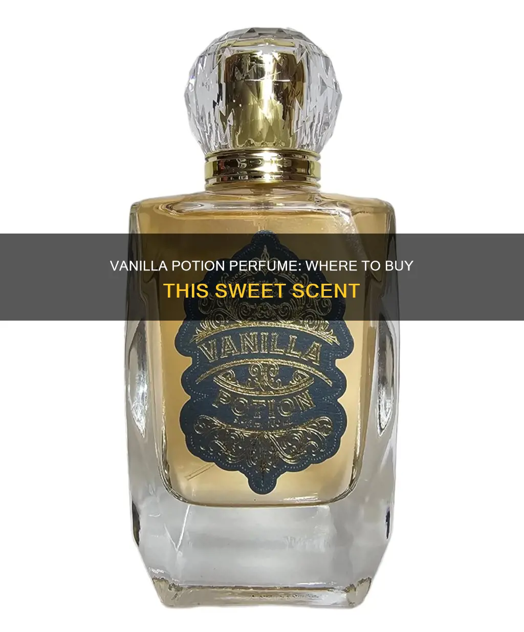 where to buy vanilla potion perfume