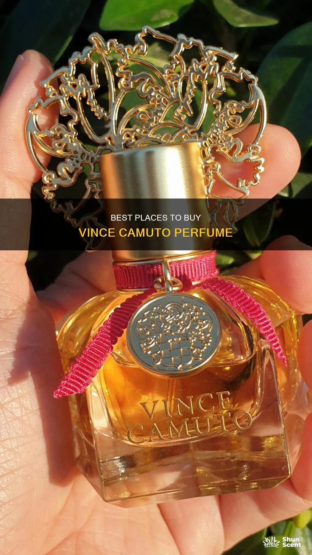 where to buy vince camuto perfume