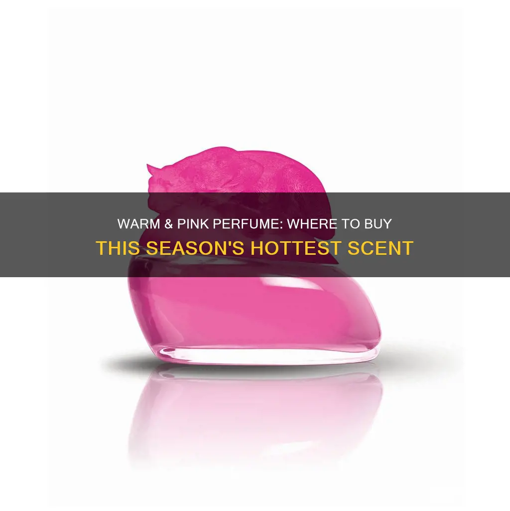 where to buy warm and pink perfume colone spray