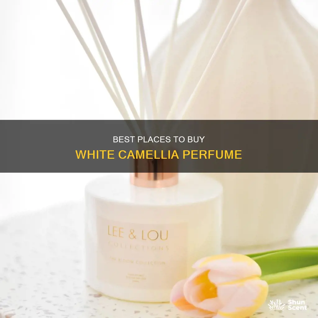 where to buy white camellia perfume