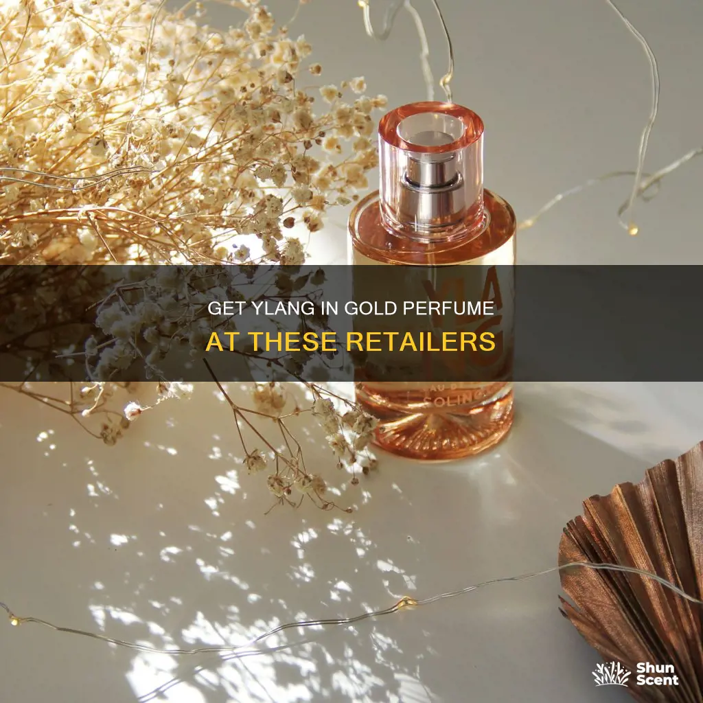 where to buy ylang in gold perfume