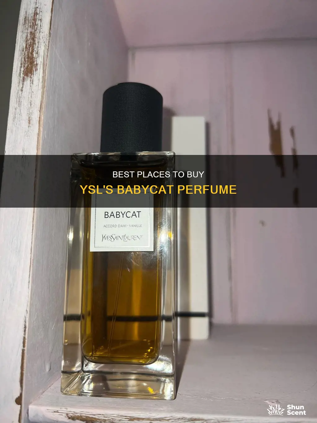 where to buy ysl babycat perfume