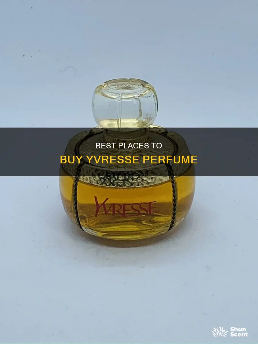 where to buy yvresse perfume
