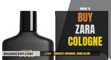 Best Places to Buy Zara Colognes