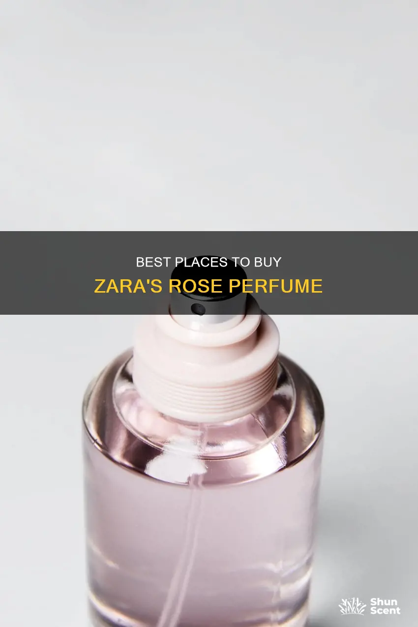 where to buy zara rose perfume