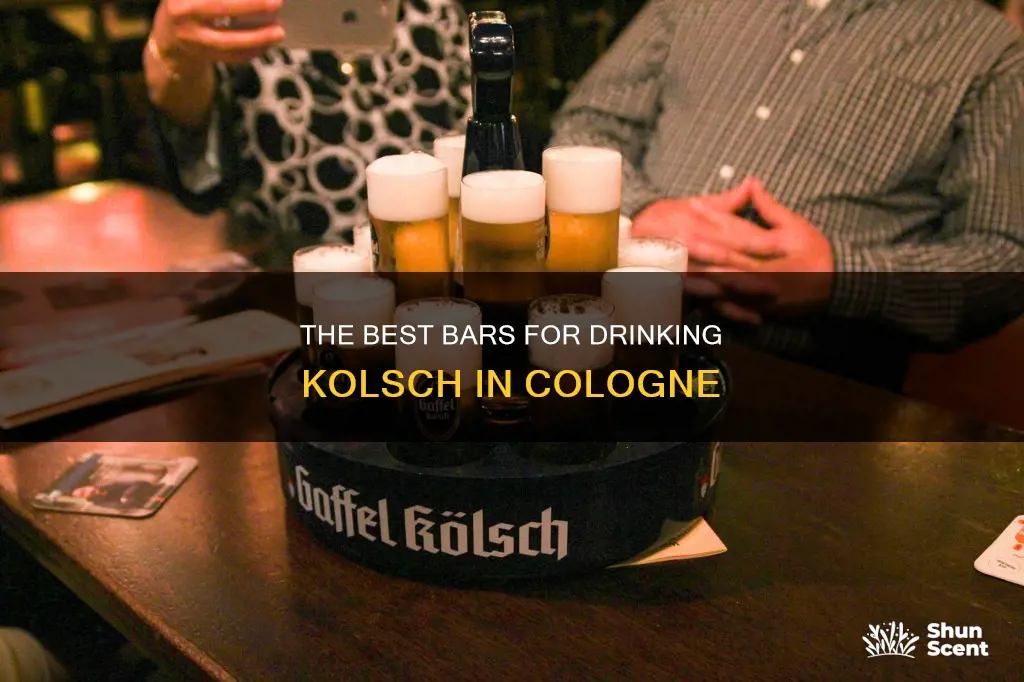 where to drink kolsch in cologne