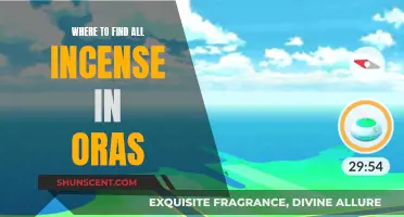 Incense Locations in ORAS: A Comprehensive Guide
