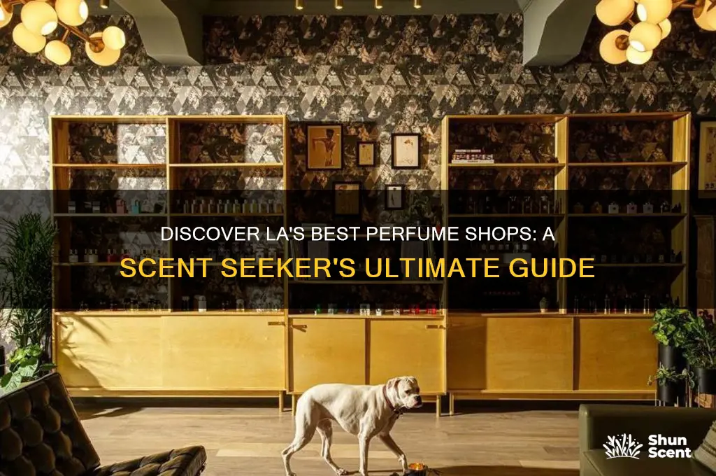 where to find any perfume in la