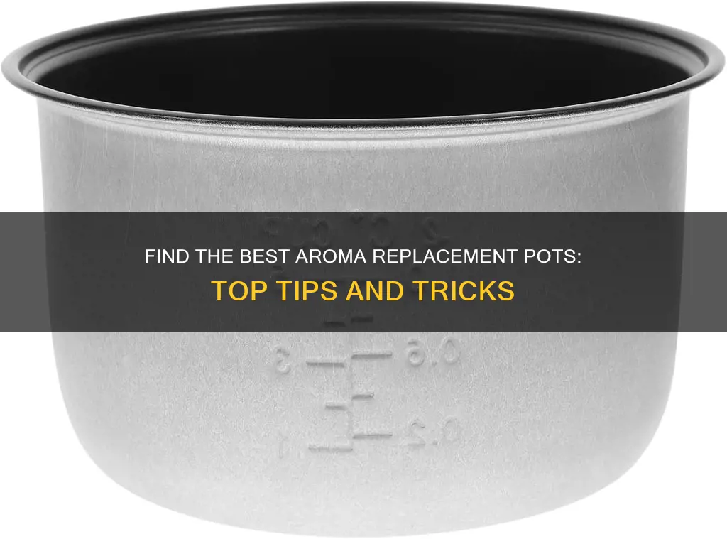 where to find aroma replacement pot