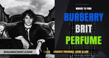 Discover Burberry Brit Perfume: Top Retailers and Online Sources
