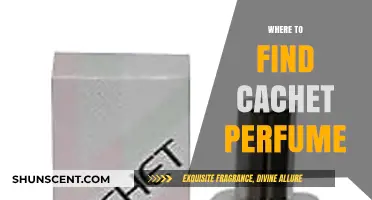 Discover Cachet Perfume: Top Retailers and Online Sources for Fragrance Lovers