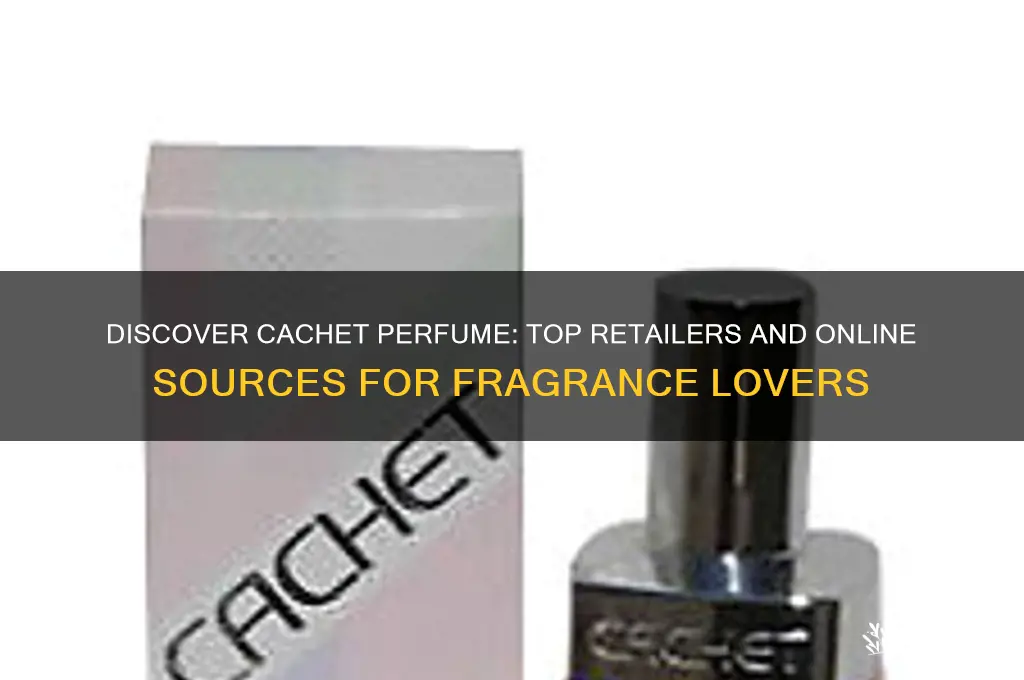 where to find cachet perfume