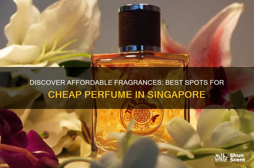 where to find cheap perfume in singapore