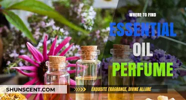 Discover the Best Sources for Essential Oil Perfumes Online & Locally