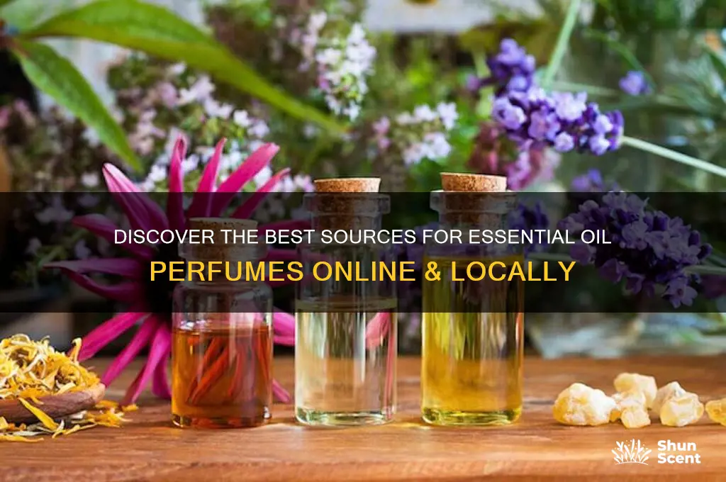 where to find essential oil perfume