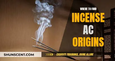 Finding Incense: AC Origins Secrets