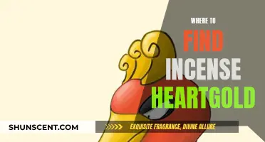 Finding Incense in HeartGold: A Guide