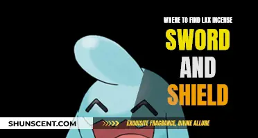 Best Spots to Find Lax Incense in Sword and Shield