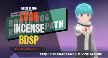 Luck Incense in Pokémon BDSP: Where to Find It