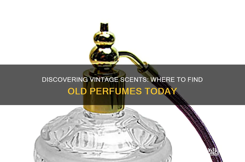 where to find old perfumes