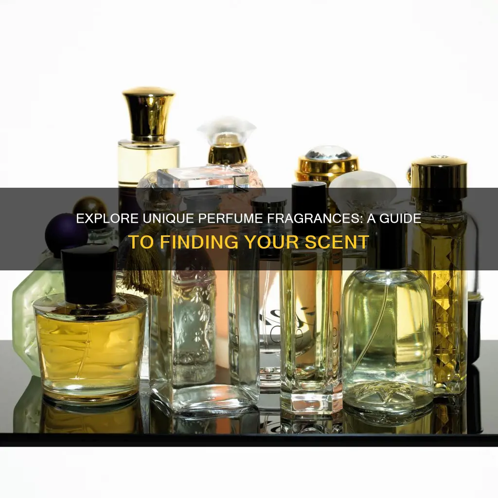 where to find perfume fragrance