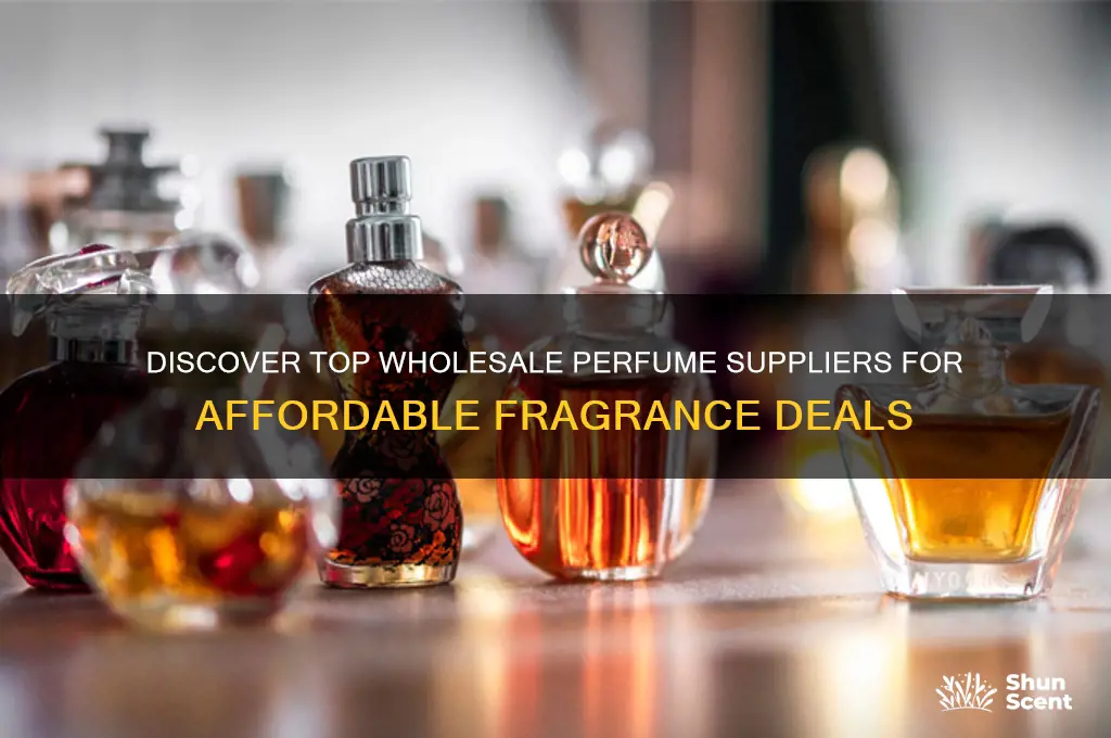 where to find perfume wholesale