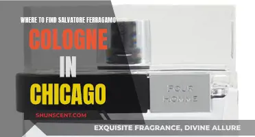 Salvatore Ferragamo Cologne: Chicago's Top Shopping Spots