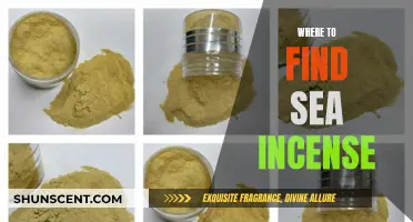 Finding Sea Incense: The Ultimate Guide