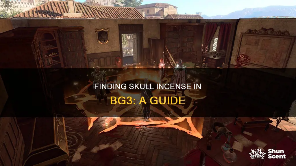 where to find skull and incense bg3