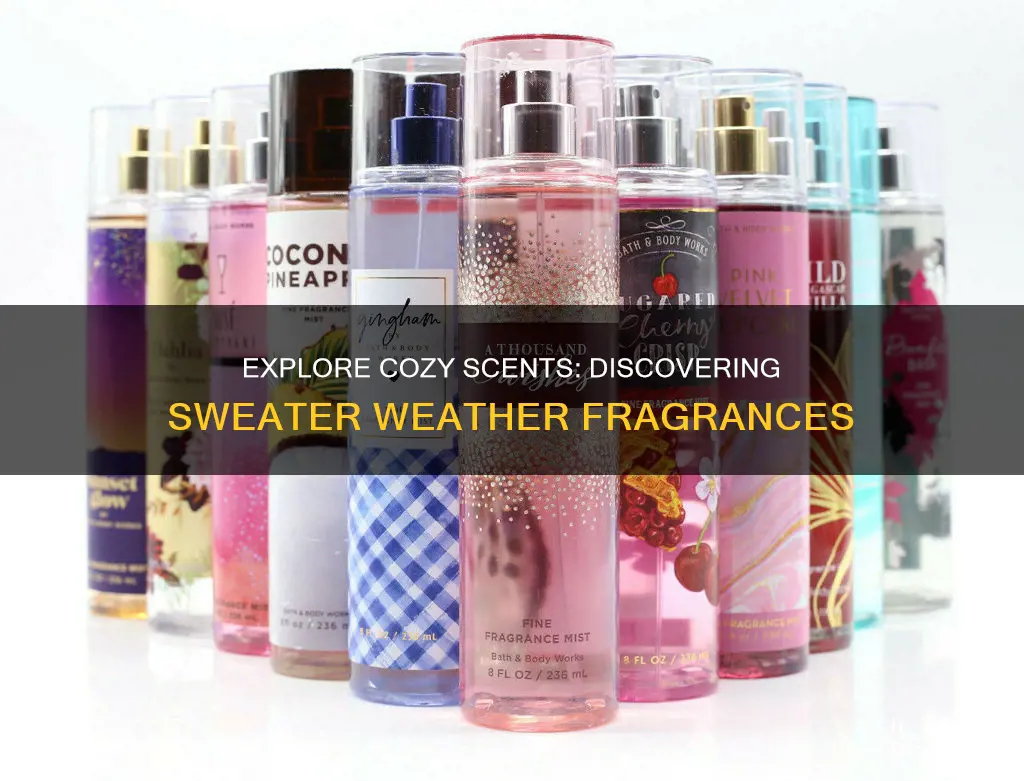 where to find sweater weather fragrance
