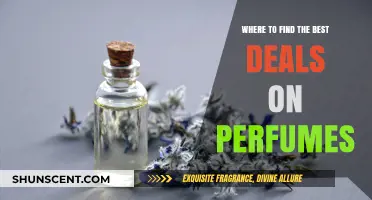 Discover Top Perfume Deals: Ultimate Guide to Affordable Fragrances