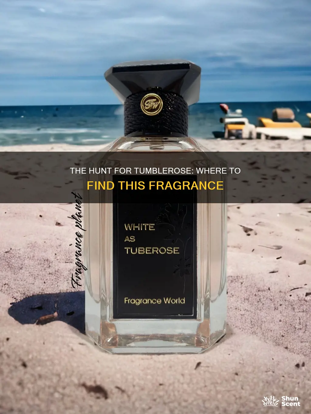 where to find tumblerose fragrance