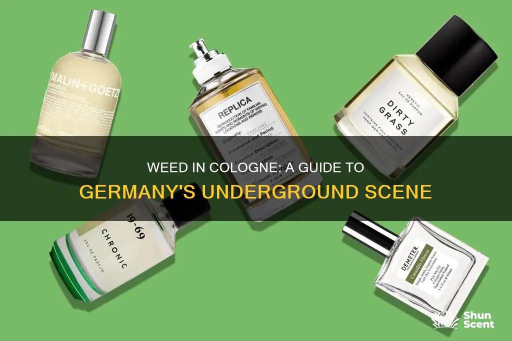 where to find weed in cologne germany