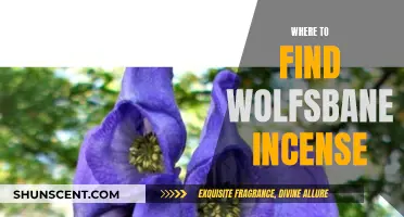 Wolfsbane Incense: Where to Find This Rare Blend