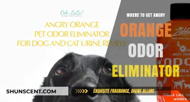 Where to Find Angry Orange Odor Eliminator: A Comprehensive Guide