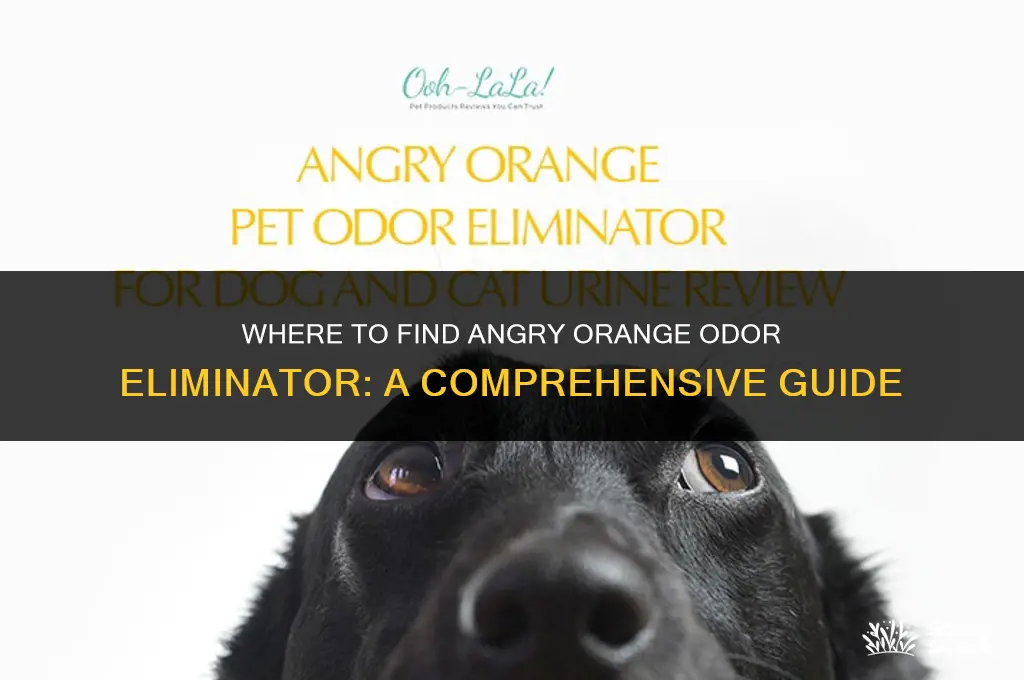 where to get angry orange odor eliminator