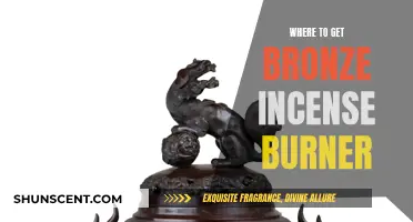Explore Ancient Bronze Incense Burners for Your Collection