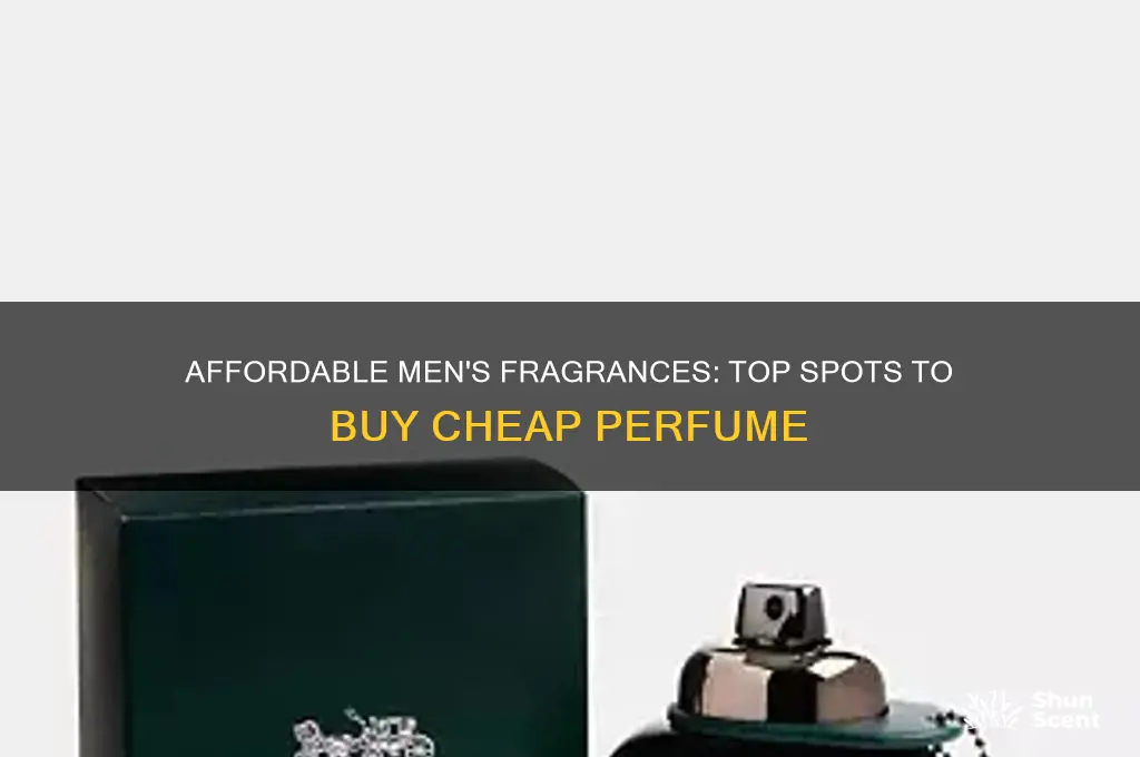where to get cheap perfume for men
