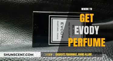 Discover the Best Places to Buy Evody Perfume Online & In-Store