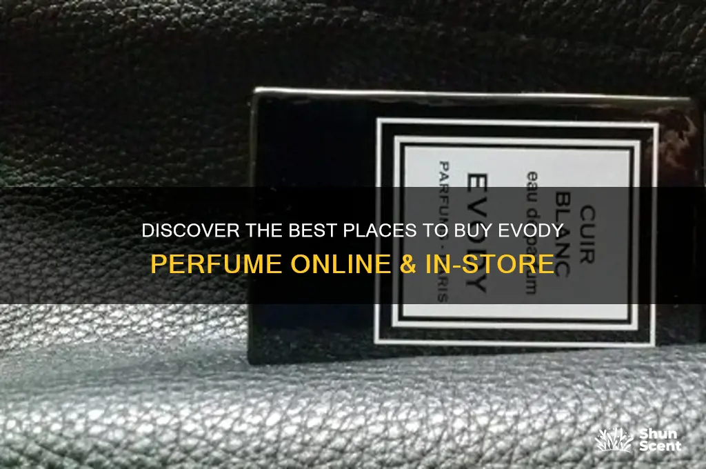 where to get evody perfume