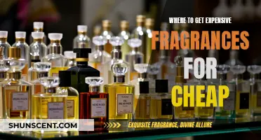 Get Expensive Fragrances at a Bargain: Secrets to Affordable Luxury