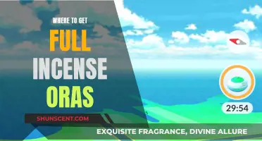 Best Incense Catching Spots in Hoenn