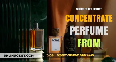 Discover the Best Sources for Highest Concentrated Perfumes Online