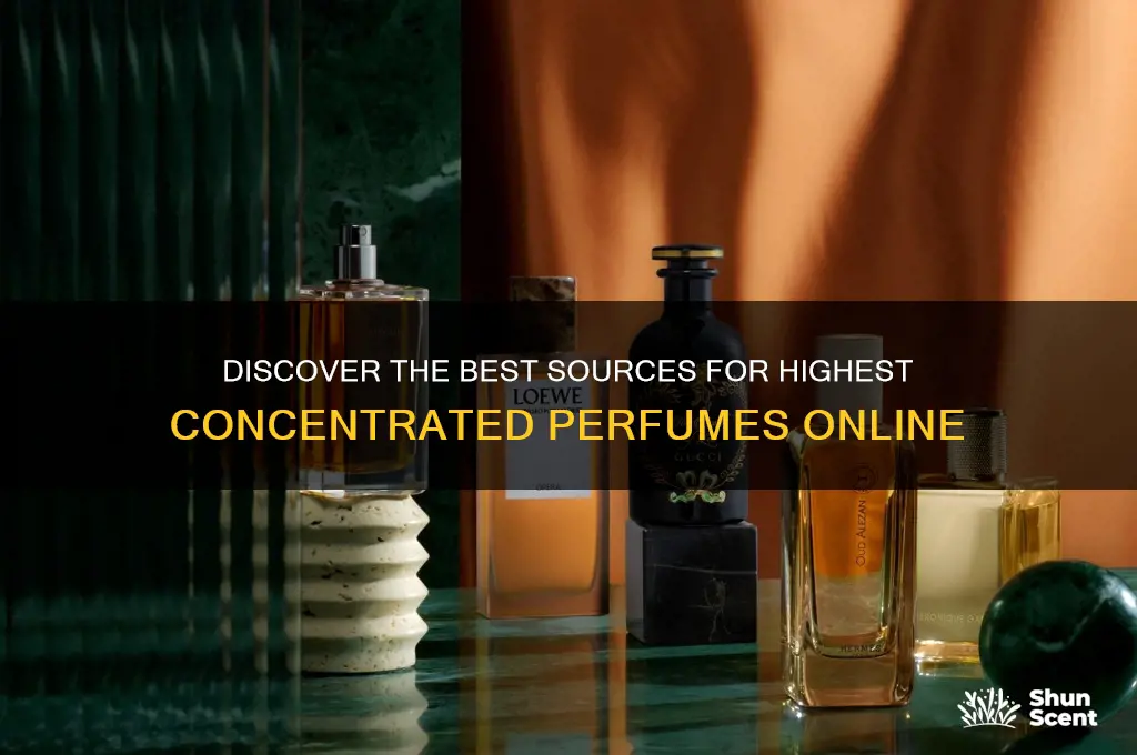 where to get highest concentrated perfume from
